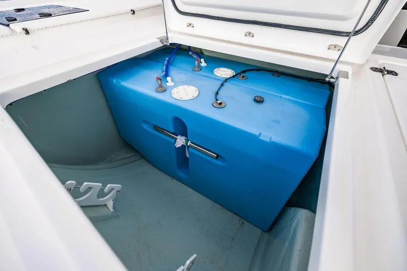 Slide: The Image of Leopard 45 2024 - 136