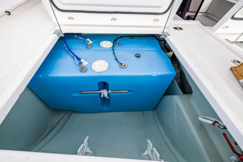 Slide: The Image of Leopard 45 2024 - 137