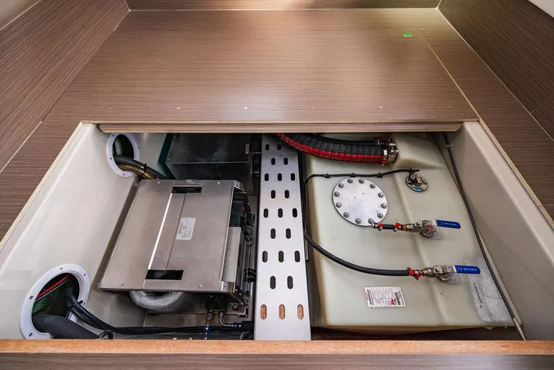 Slide: The Image of Leopard 45 2024 - 139