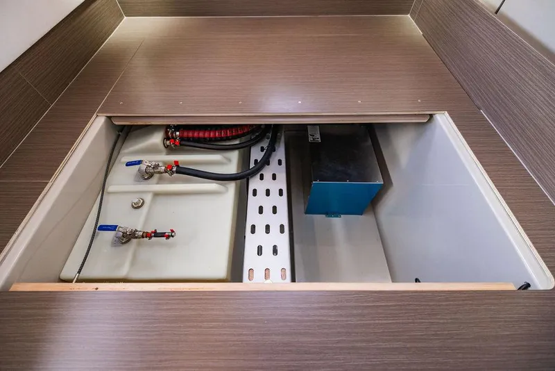 Slide: The Image of Leopard 45 2024 - 140