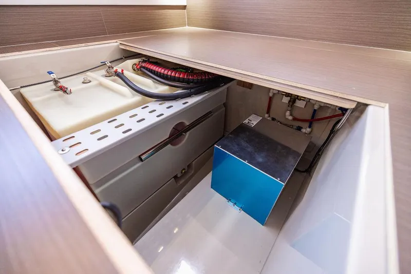 Slide: The Image of Leopard 45 2024 - 141