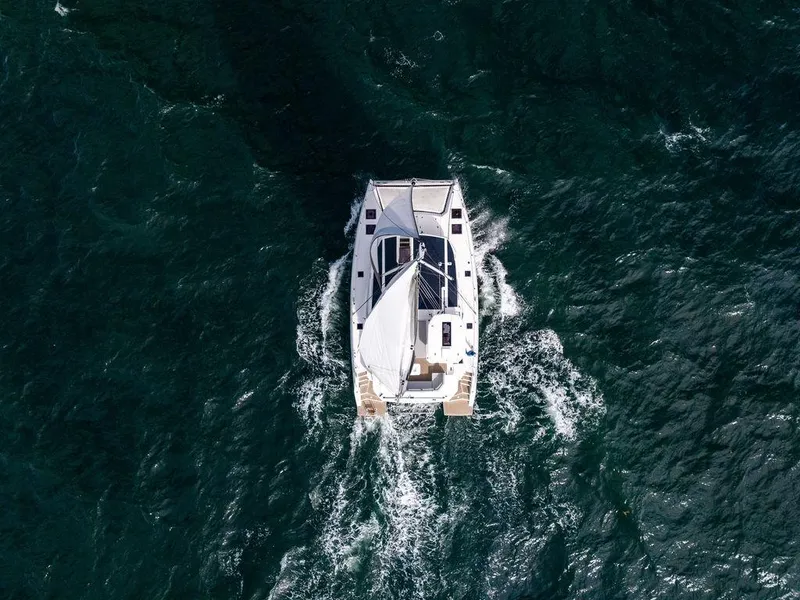 Slide: The Image of Leopard 45 2024 - 144