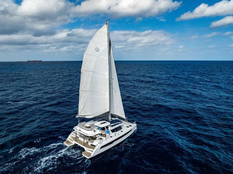 Slide: The Image of Leopard 45 2024 - 145