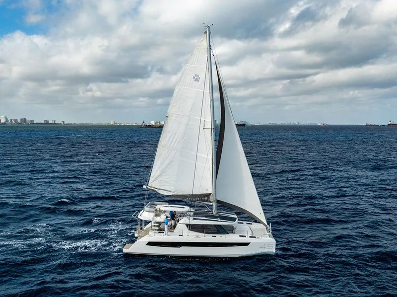 Slide: The Image of Leopard 45 2024 - 146