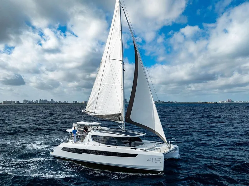 Slide: The Image of Leopard 45 2024 - 148