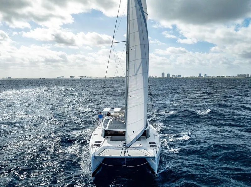 Slide: The Image of Leopard 45 2024 - 149