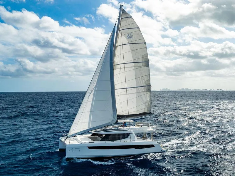 Slide: The Image of Leopard 45 2024 - 151