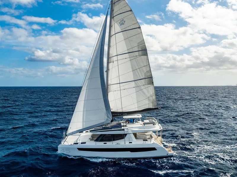 Slide: The Image of Leopard 45 2024 - 152