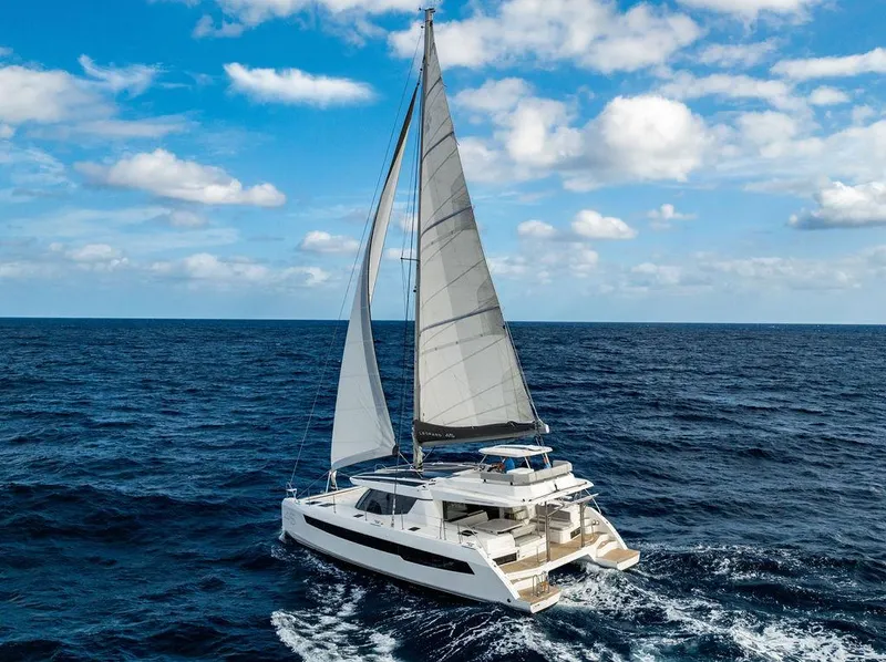 Slide: The Image of Leopard 45 2024 - 153