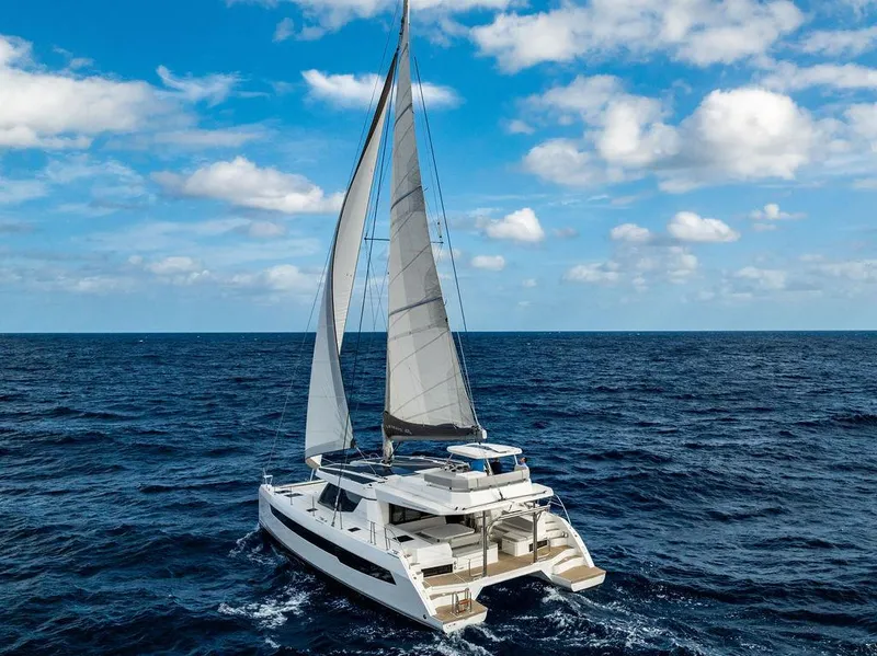 Slide: The Image of Leopard 45 2024 - 154