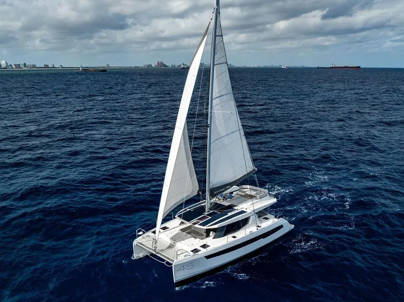 Slide: The Image of Leopard 45 2024 - 155