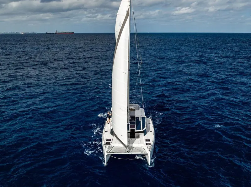 Slide: The Image of Leopard 45 2024 - 156