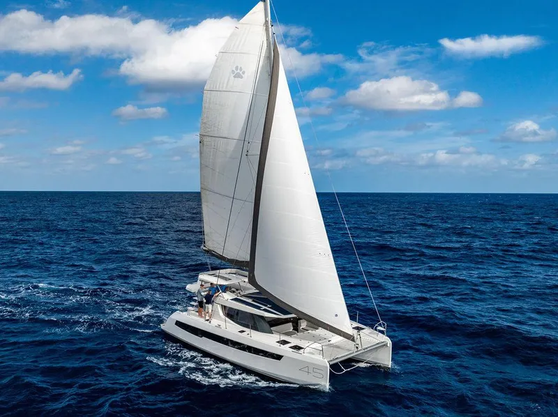 Slide: The Image of Leopard 45 2024 - 157