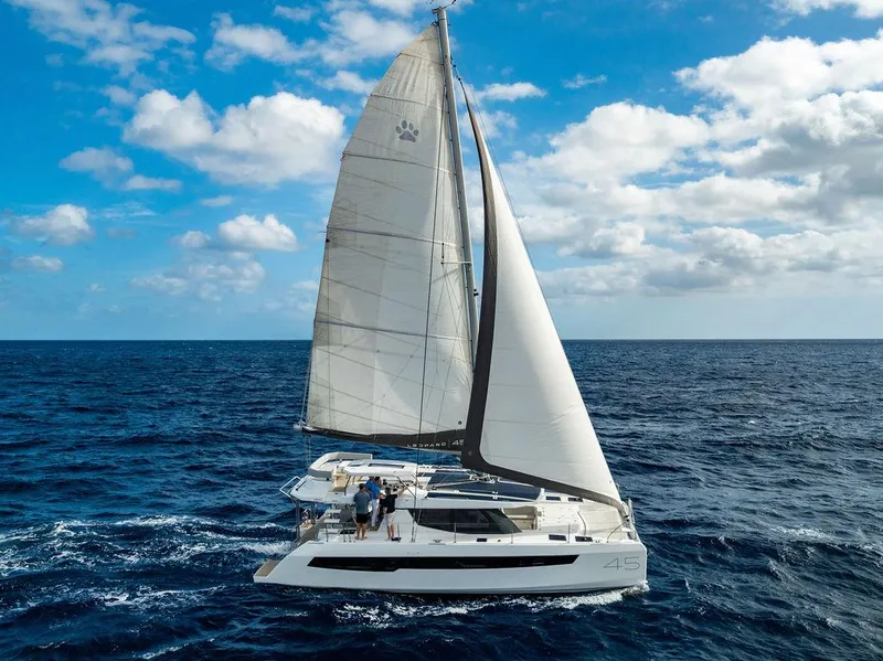 Slide: The Image of Leopard 45 2024 - 158