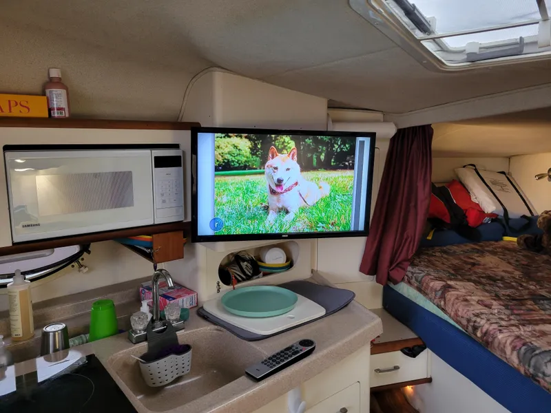 Slide: The Image of Interior of 1997 Larson 290 Cabrio boat with kitchen and TV displaying a dog. - 39