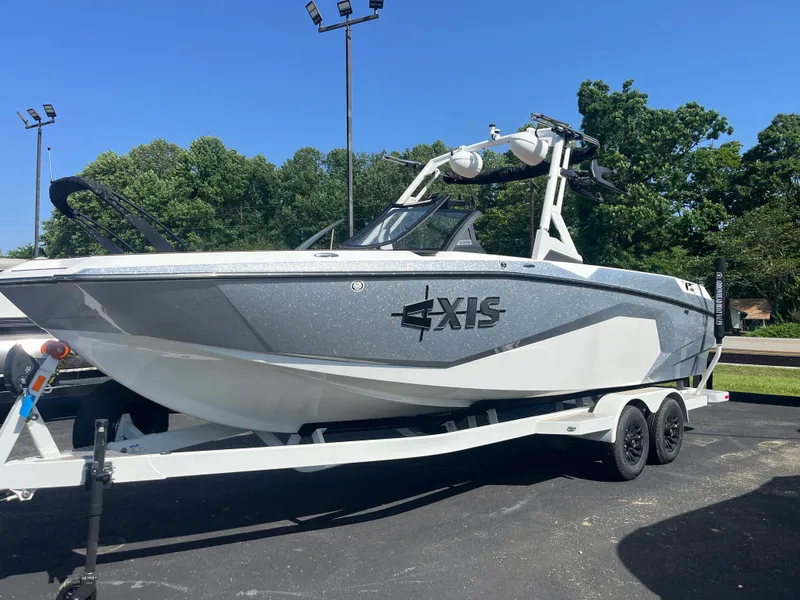 Slide: The Image of Axis A245 2024 - 4