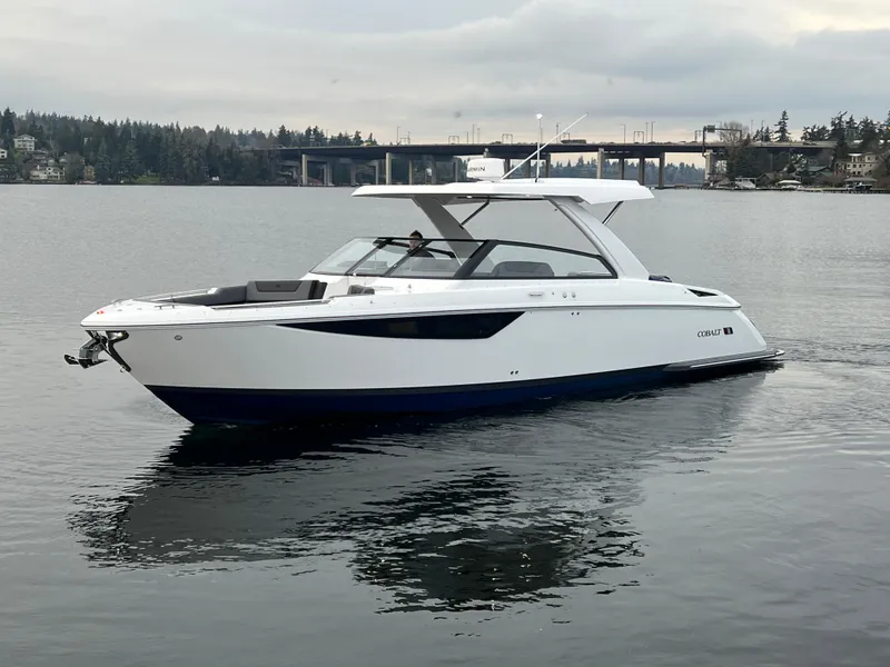 The Image of Cobalt R35 2025 - 1