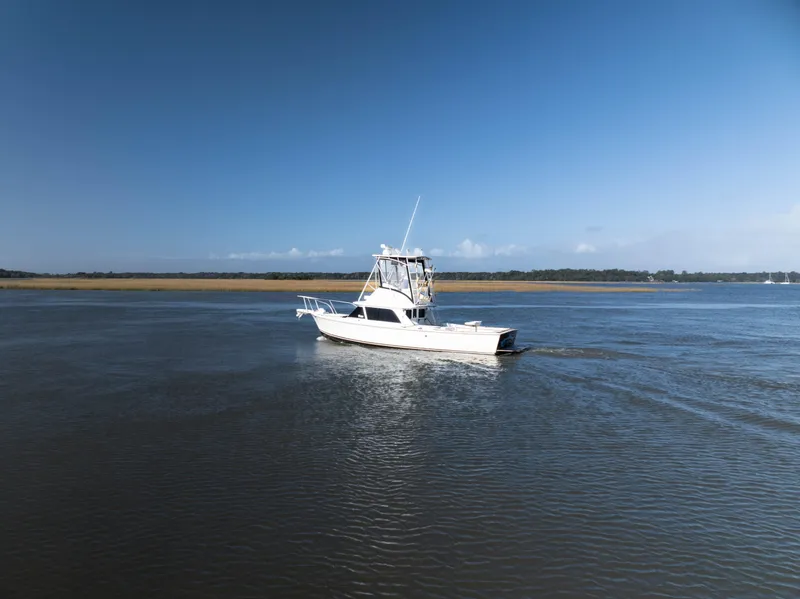 Slide: The Image of Bertram 31 Viajero- Profile - 7