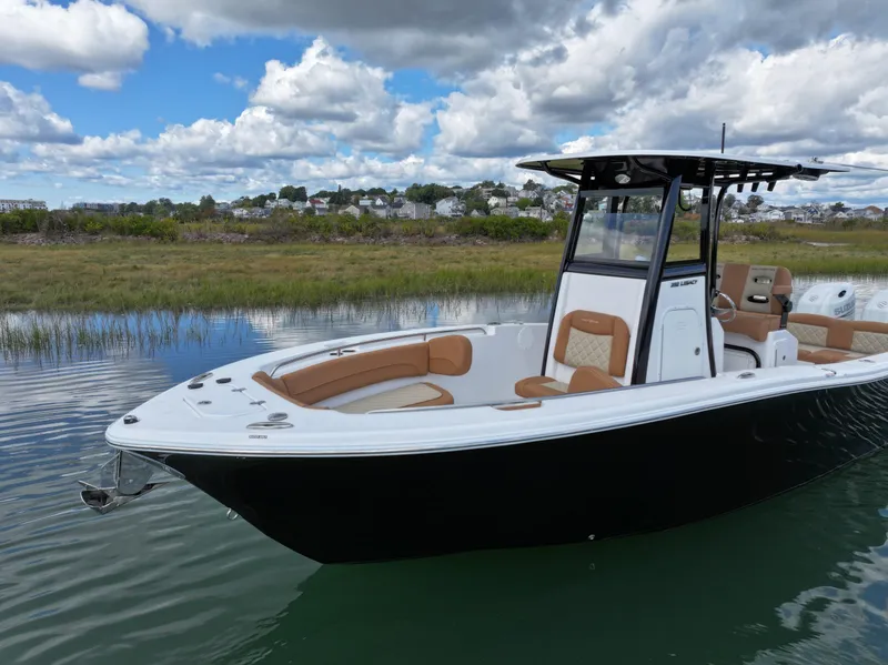 Slide: The Image of Water POV PTR Bow - 2