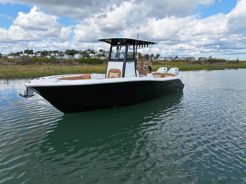 Slide: The Image of Water POV PTR Bow - 3