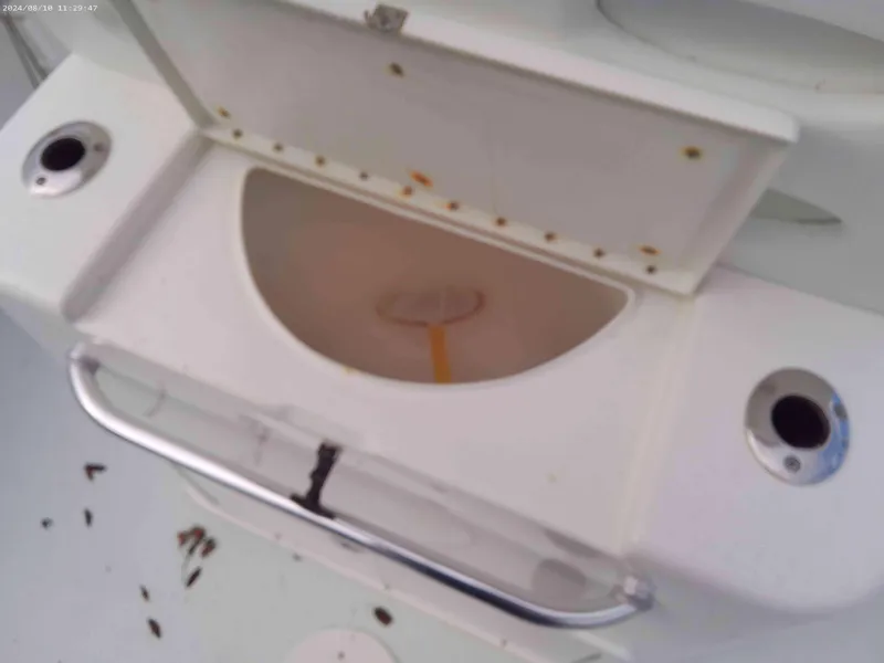 Slide: The Image of Open storage compartment on 2019 Jones Brothers 26 Cape Fisherman boat. - 12