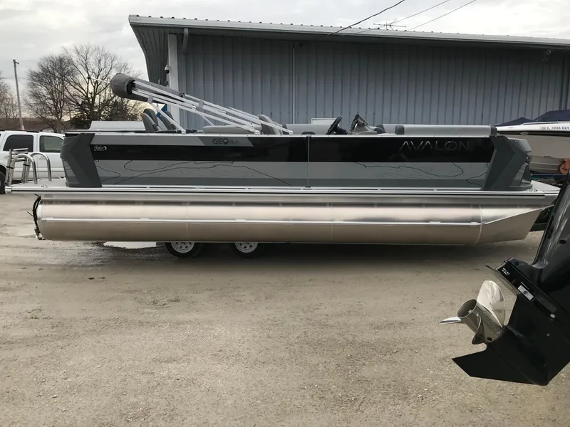 Slide: The Image of Avalon GEOfish REAR FISH 2025 - 53