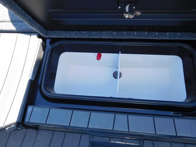 Slide: The Image of Vexus AVX 1985s 2025 - 13