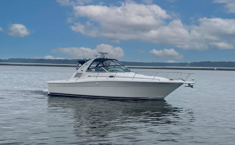 The Image of 2001 Sea Ray 340 Amberjack boat on calm water under a cloudy sky. - 0