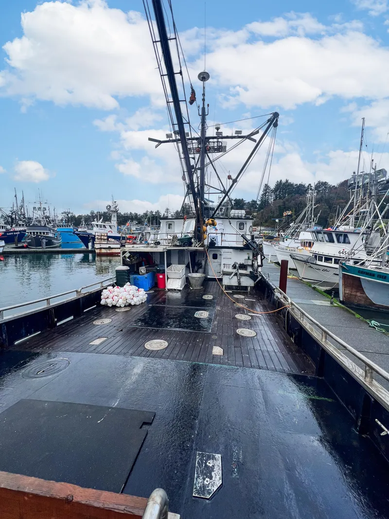 Slide: The Image of 1980 Custom fishing vessel docked in a busy marina under a partly cloudy sky. - 15