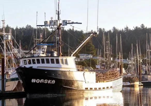 Slide: The Image of Custom 1980 fishing vessel "Norska" docked in a marina with other boats. - 2