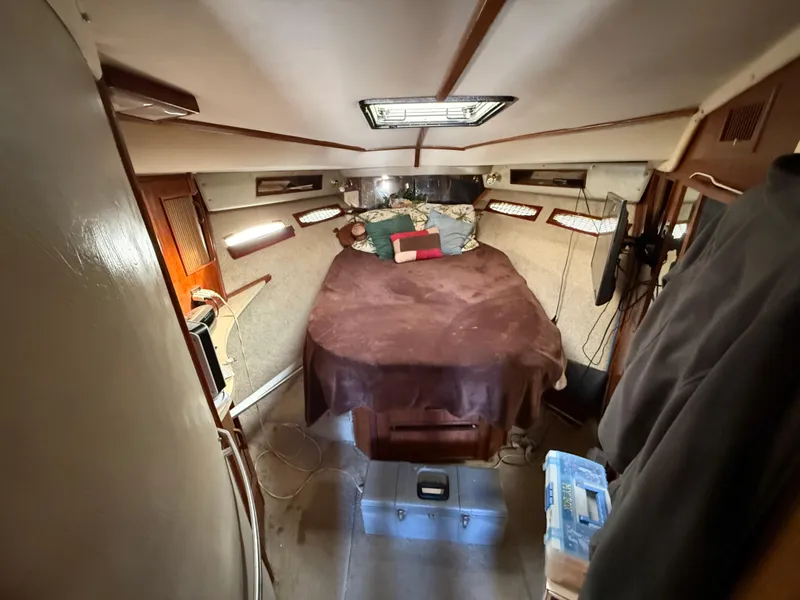 Slide: The Image of 1984 Sea Ray 390 Express Cruiser cabin interior with cozy bed and ambient lighting. - 19