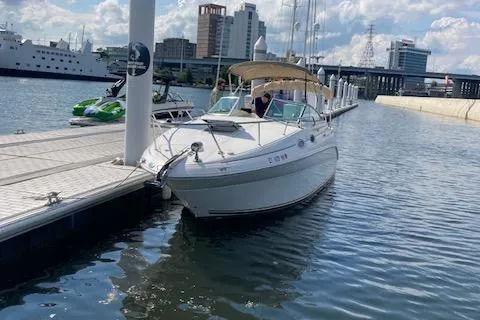 Slide: The Image of Sea Ray Sundancer 260 2002 - 94