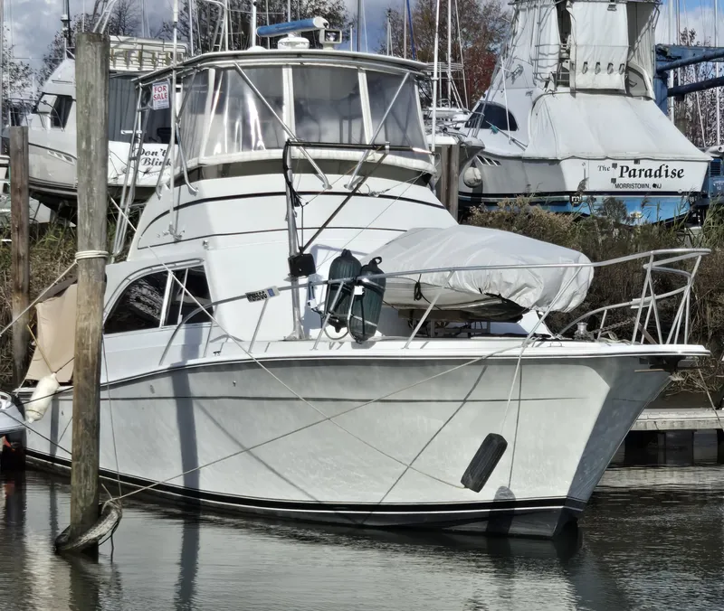 Slide: The Image of Egg Harbor 42 Convertible 1995 - 74