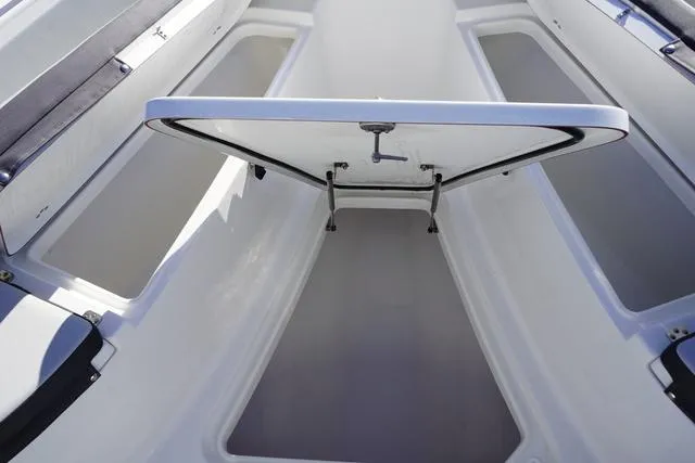 Slide: The Image of Sea Pro 242 CC 2025 - 10