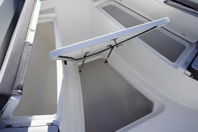 Slide: The Image of Sea Pro 242 CC 2025 - 35