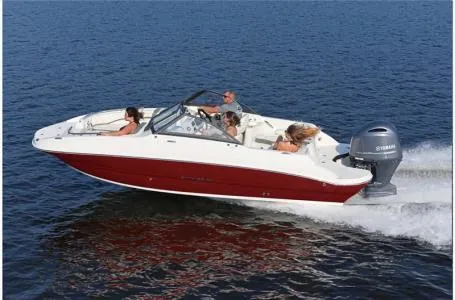 Slide: The Image of Stingray 201 DC 2024 - 4