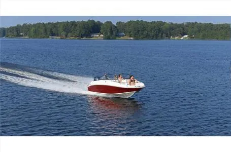 Slide: The Image of Stingray 201 DC 2024 - 5