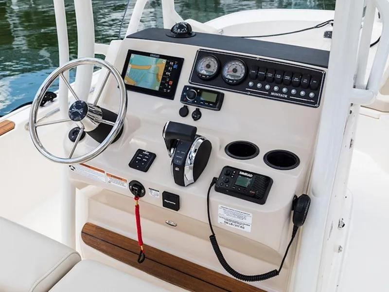 Slide: The Image of Boston Whaler 210 Montauk 2025 - 5