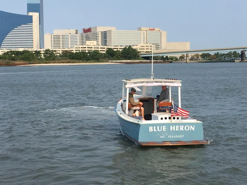 Slide: The Image of Blue Heron - 8