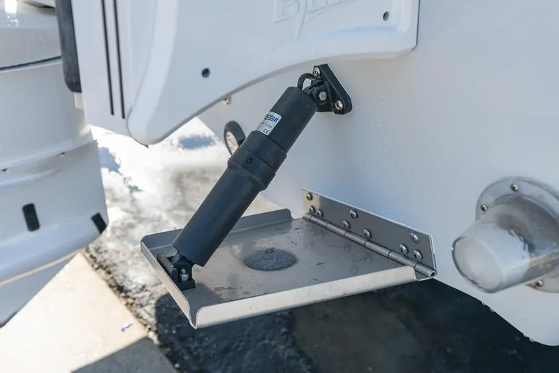 Slide: The Image of Everglades 243CC 2023 - 101