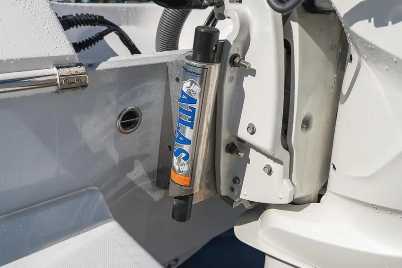 Slide: The Image of Everglades 243CC 2023 - 102