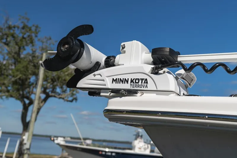 Slide: The Image of Everglades 243CC 2023 - 108