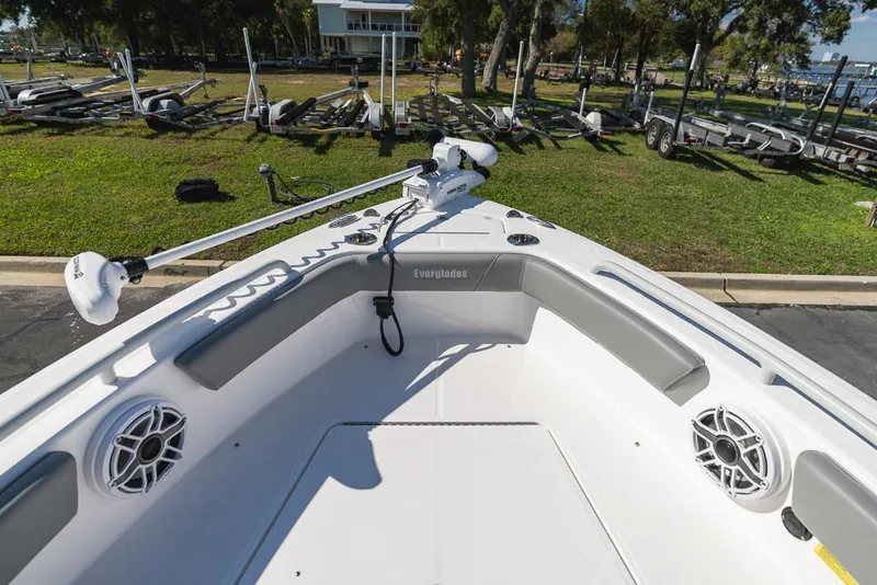 Slide: The Image of Everglades 243CC 2023 - 111