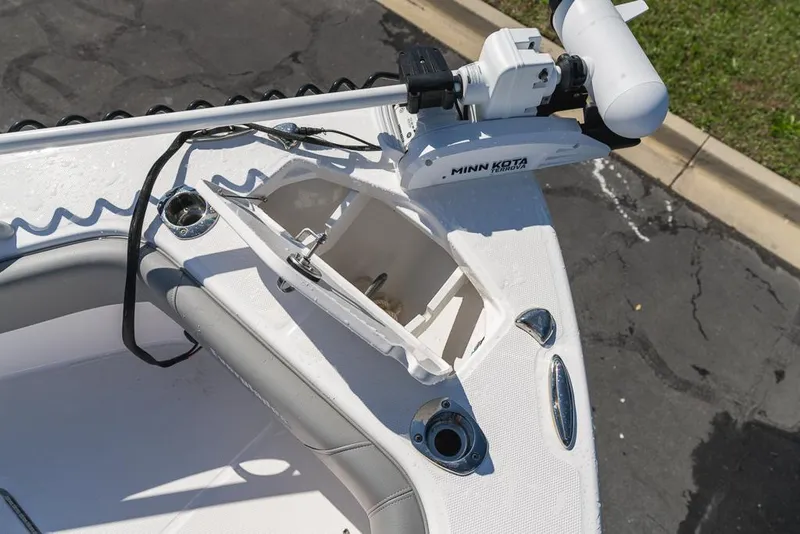 Slide: The Image of Everglades 243CC 2023 - 112