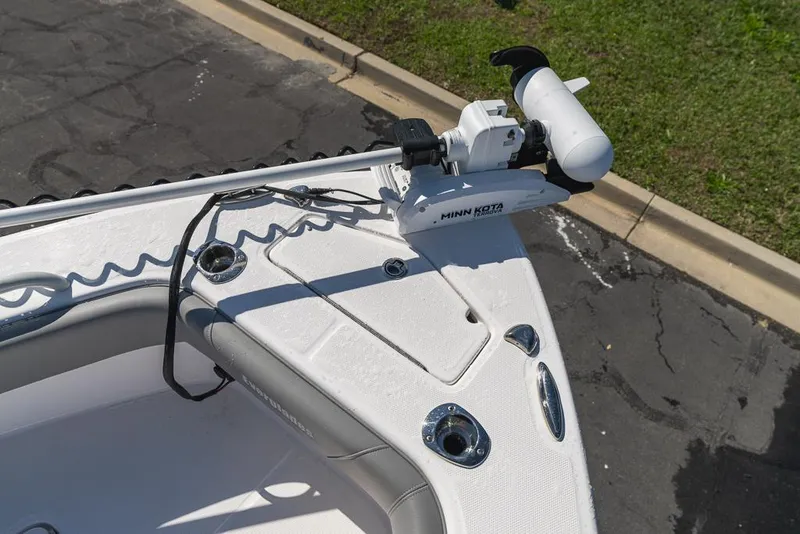 Slide: The Image of Everglades 243CC 2023 - 113