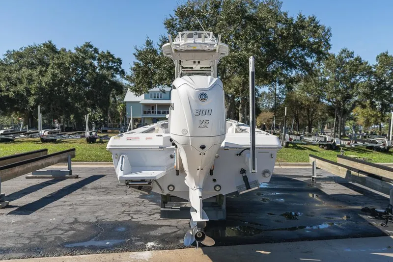 Slide: The Image of Everglades 243CC 2023 - 119