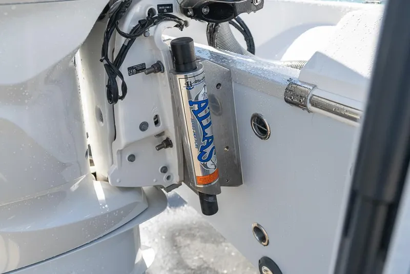 Slide: The Image of Everglades 243CC 2023 - 122