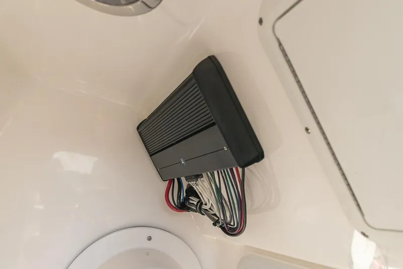 Slide: The Image of Everglades 243CC 2023 - 69