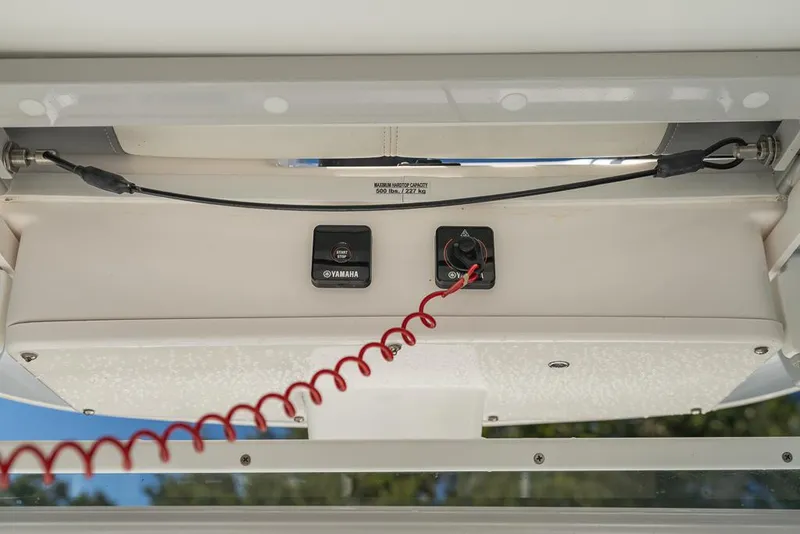 Slide: The Image of Everglades 243CC 2023 - 72