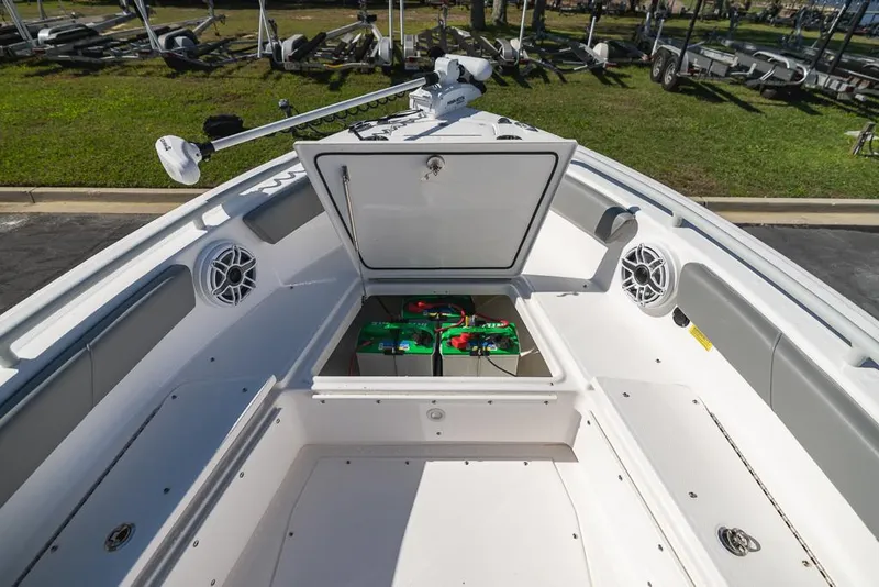 Slide: The Image of Everglades 243CC 2023 - 85